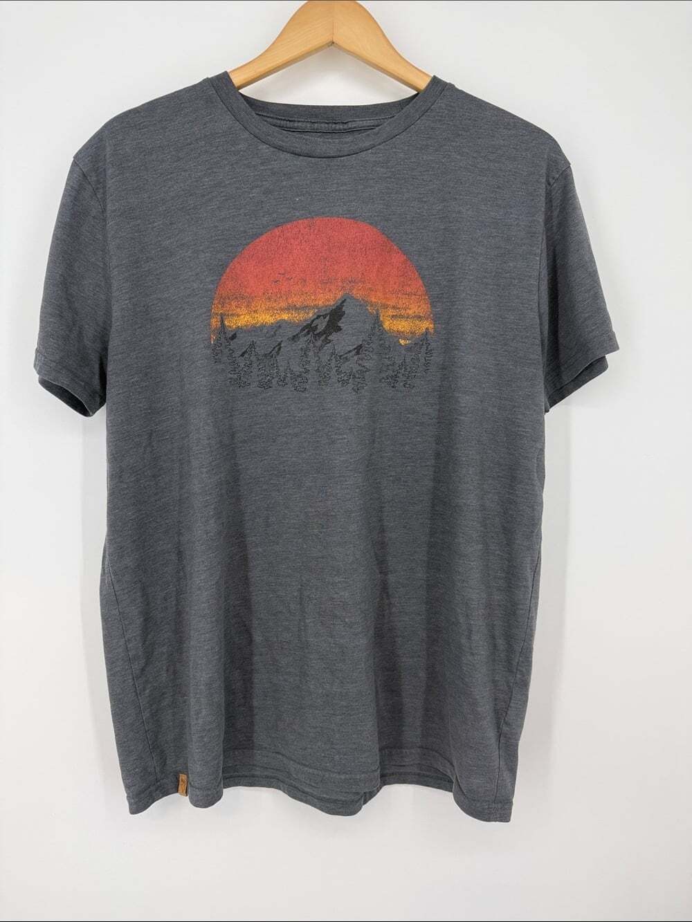Tentree Men's Charcoal Graphic Tee with Sunset Mountain Print